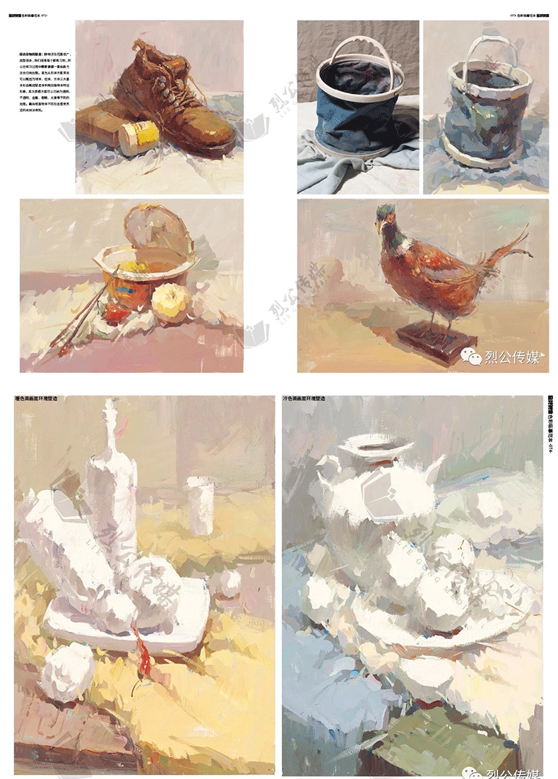 临摹范本2019烈公文化黎权皇水粉画色彩静物照片美术联考基础教材课本