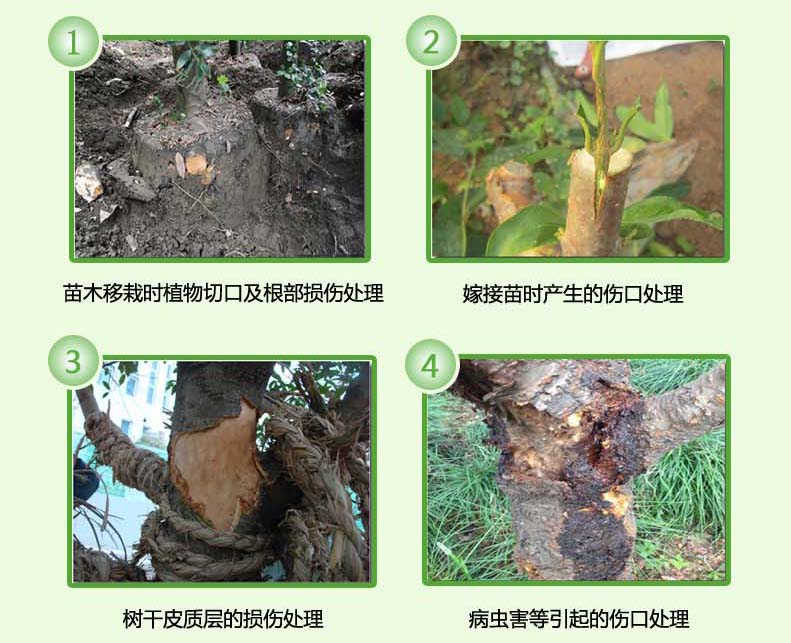 树木涂补剂盆景植物嫁接果树大树伤口愈膏愈合剂涂切口 一箱24瓶送