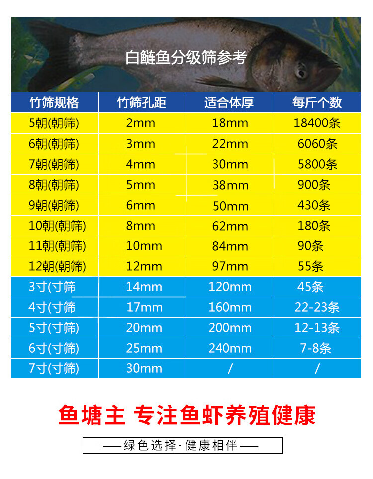 鱼苗大小分级鱼筛泥鳅黄鳝财鳜鲈金鱼种竹蔑编织分鱼竹鱼筛子 竹筛5寸