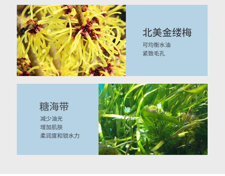 左颜右色 茶树精油清洁泥膜面膜去黑头粉刺闭口 控油补水修护毛孔收缩涂抹式面膜男士护肤 茶树泥膜+毛孔收缩精华