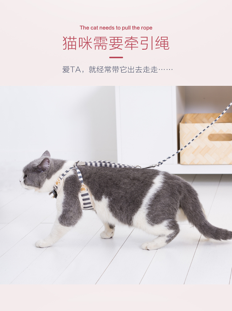 猫咪牵引绳溜猫链子绳子小猫防挣脱专用拴猫绳背心式外出遛猫神器