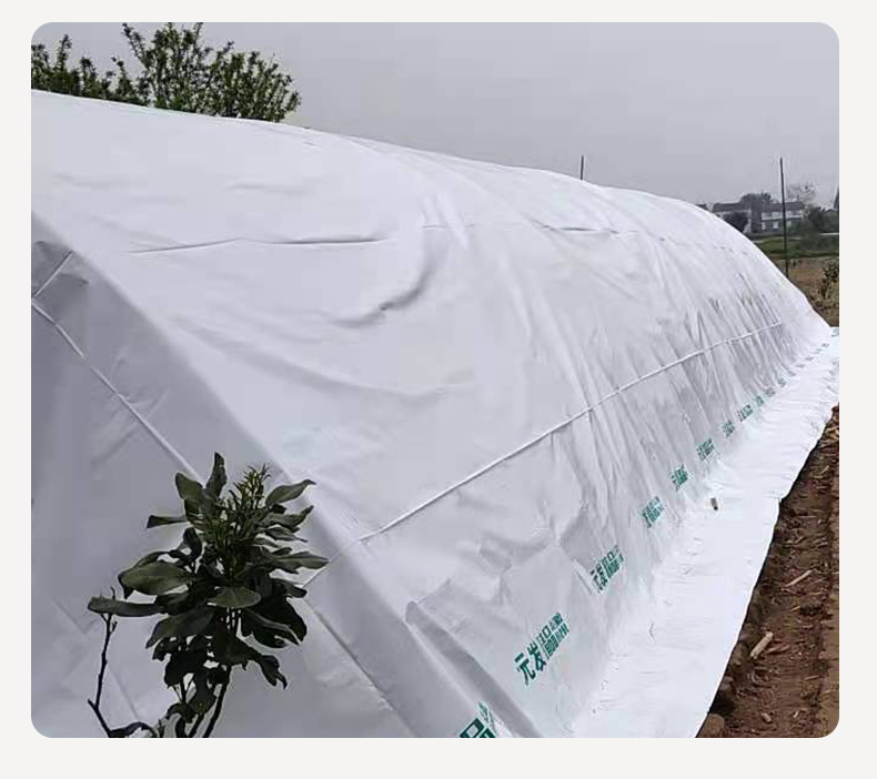 隔热黑白膜棚膜消雾塑料薄膜塑料布多功能包装防尘养殖淡蓝色水晶po膜
