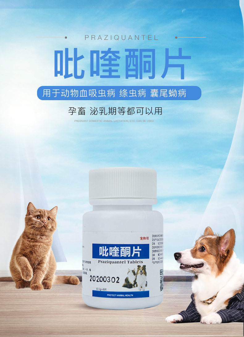 兽用吡喹酮片宠物猫狗犬猫咪驱血吸虫绦虫囊尾蚴病驱虫药