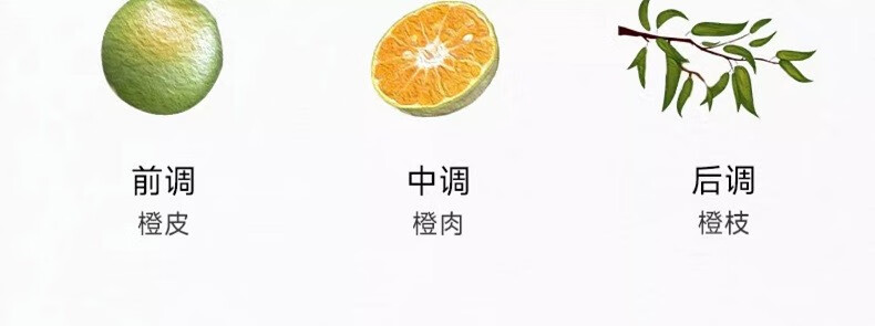 MONOTHEME精品香氛 柑橘之书 大橙子 男士女士中性淡香水  柑橘之书-大橙子100ml
