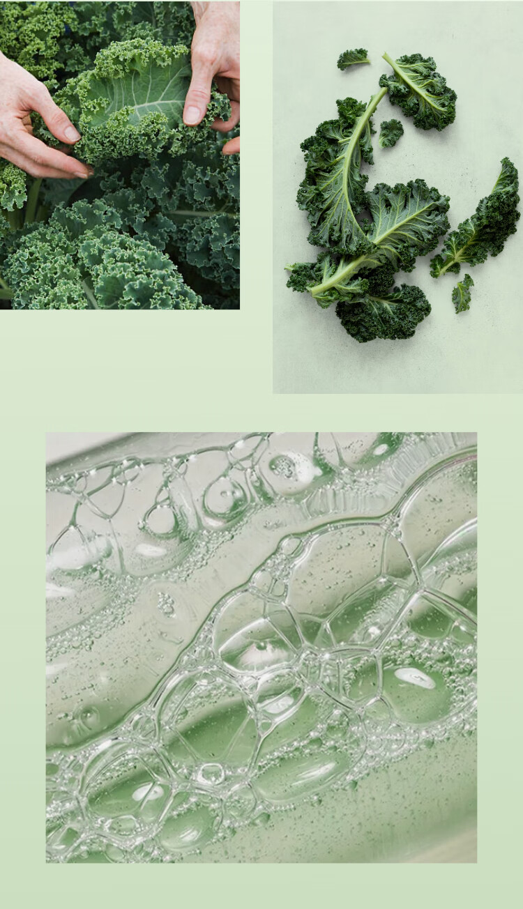 光言（GLOWSIS）【浮黑头去角质】果酸清洁泥膜干皮涂抹式清洁面膜学生男女送男友 会员专享-绿泥100g