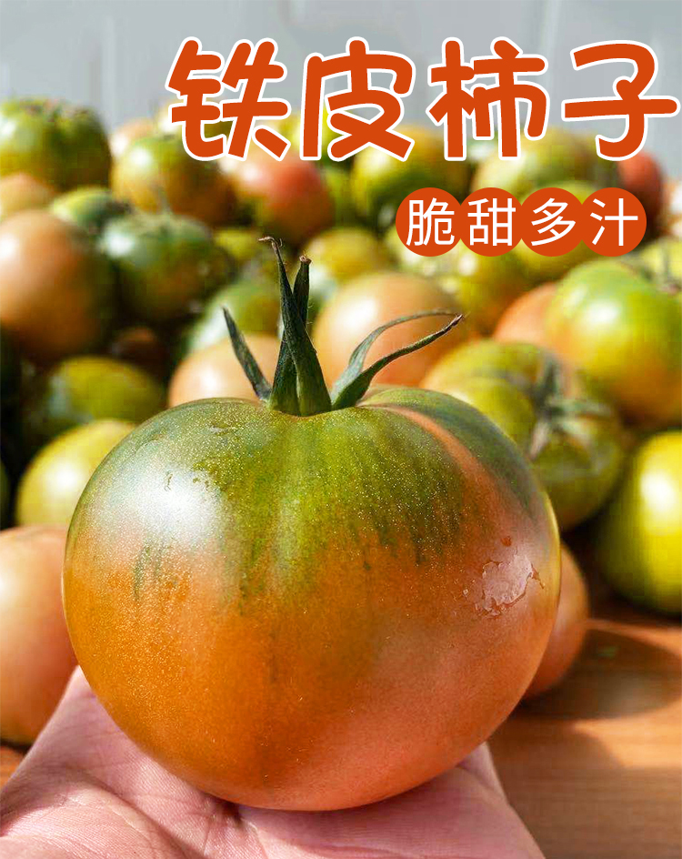 顺丰京东丹东铁皮柿子草莓铁皮西红柿番茄新鲜水果5斤铁皮柿子铁柿子3