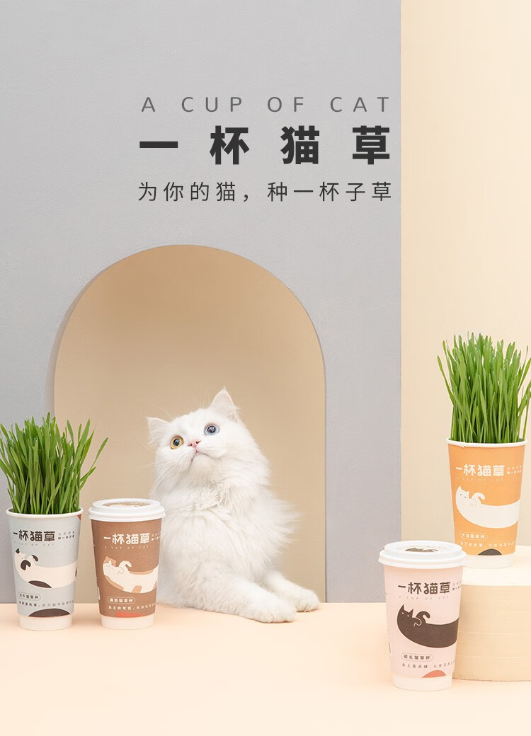 furrytail尾巴生活一杯猫草猫薄荷盆栽种子猫零食宠物