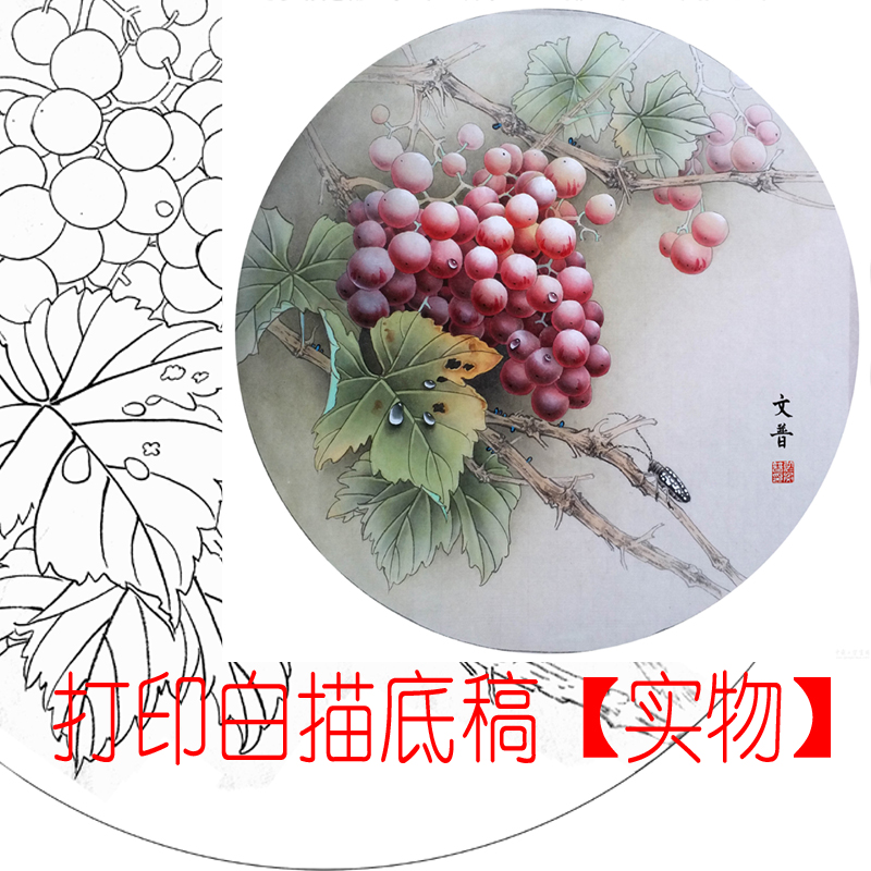 工笔画打印底稿葡萄团扇斗方初学者白描宣纸过稿dy玄关表箱装饰 ptts