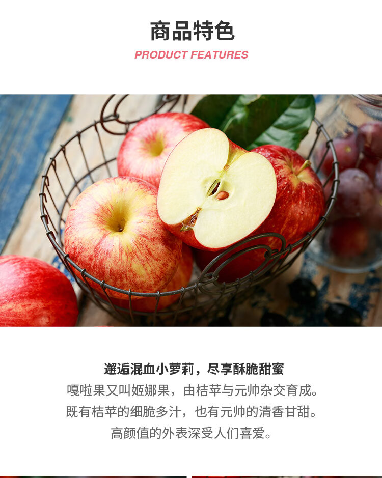 水果 苹果 莆鲜 【现货速发】现货新西兰美国嘎啦果12个加力果姬娜