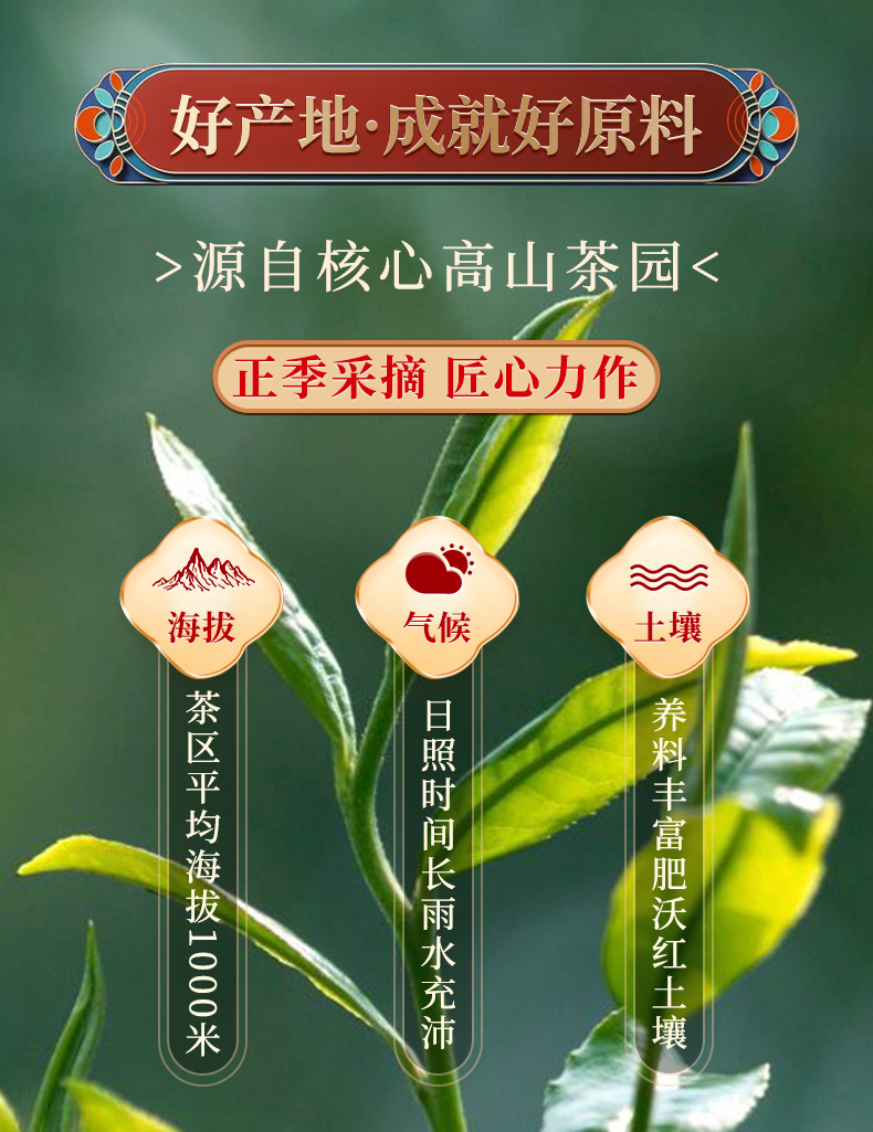 悦己初露 广西横县产特级茉莉花茶雪芽 香气扑鼻 赠送礼袋2022年新茶 250克(125克*2盒)