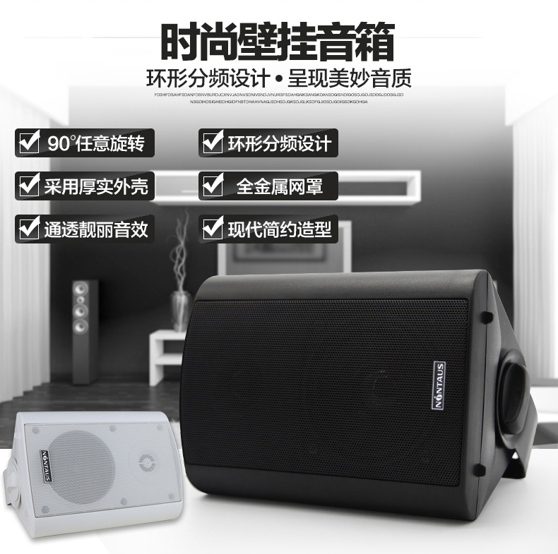 悬挂式店铺超市餐厅音响校园公共广播系统家用   产品名称 :  b6壁挂