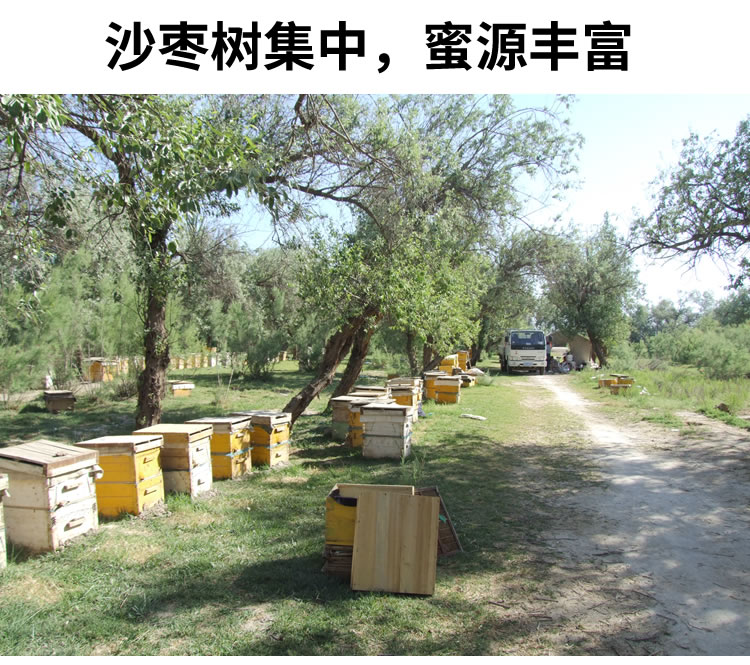 纯蜂蜜2斤新疆沙枣蜂蜜天农家自产然土蜂蜜黑蜂液态枣花蜜新疆沙枣