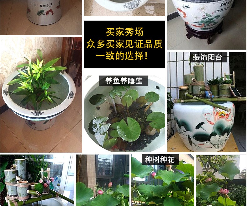 景德镇陶瓷鱼缸养金鱼缸睡莲盆荷花缸碗莲缸乌龟大水缸盆客厅摆件 红