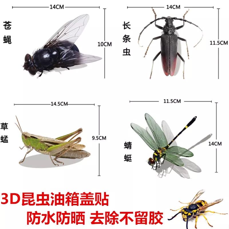 汽车3d蜻蜓创意个性蜜蜂仿真昆虫类车身遮挡装饰贴防水油箱盖贴花蜻蜓