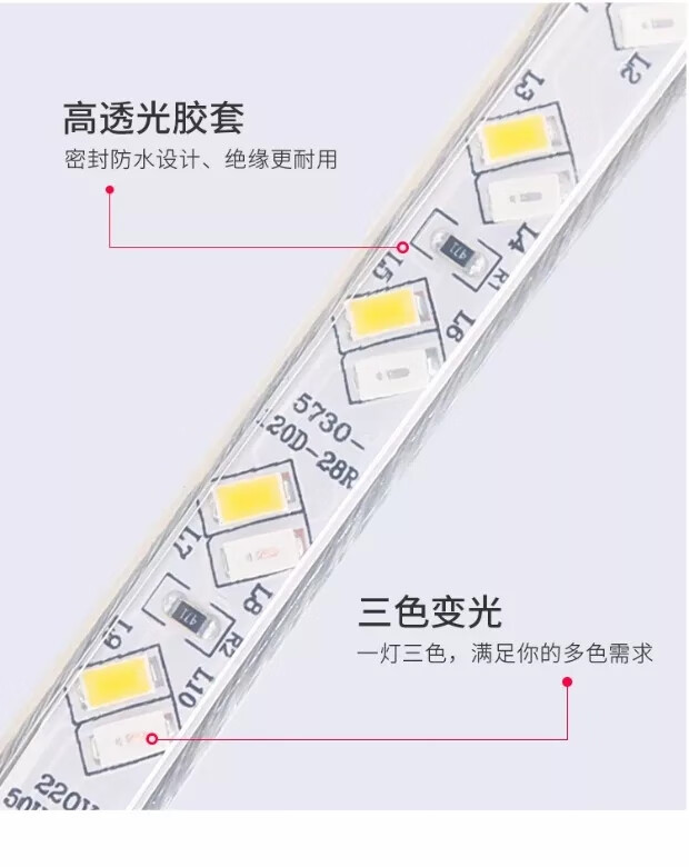 21，禕琳（yilin）燈帶led三色變色 七彩家用燈條超亮客厛吊頂暗槽戶外防水220v線燈 雙排高亮【煖+藍+紫+自動變光】 其它