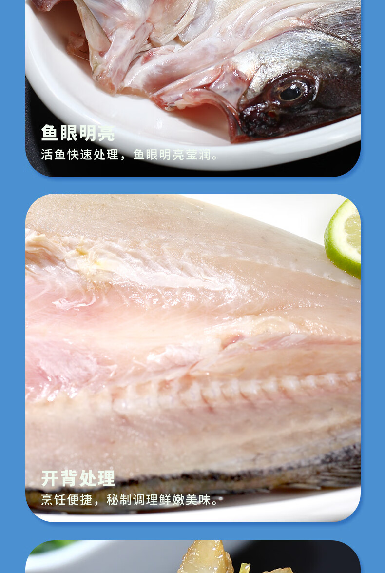 速鲜（SuXian）新鲜活冻三去开背白蕉海鲈鱼 生鲜海鱼海鲜水产去鳃去鳞去内脏 200-250g*6条（无冰款）