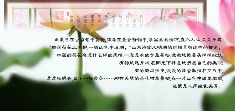 蒙娜丽莎十字绣钻石画家和万事兴何韵版5d客厅卧室大画 家和万事兴粉色荷韵钻石画120*45cm