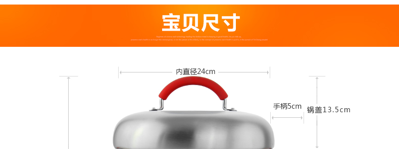 苏泊尔（supor）蒸滋味蒸煮多用双层蒸锅亮彩系列EZ24SS01