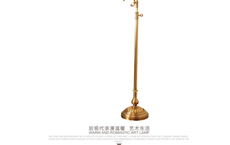 
                                                            帝拿 欧式客厅全铜落地灯高端沙发茶几高脚灯别墅复式楼立式台灯                