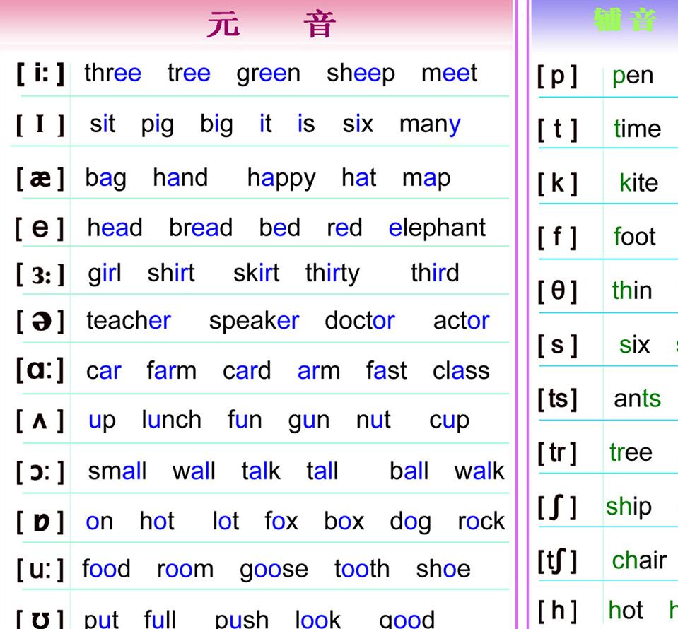 英语国际音标教学用大挂图 书写字母笔顺 b045墙贴 海报 e 款 (布置用