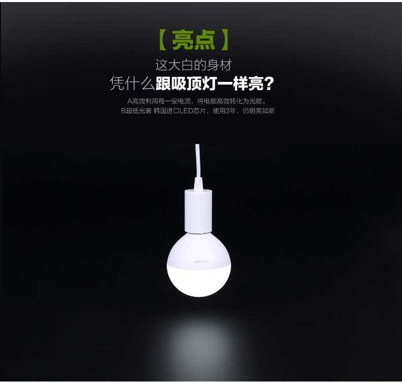 立莱 led灯泡e27大螺口球形护眼大球泡大功率节能灯具 19W 白光