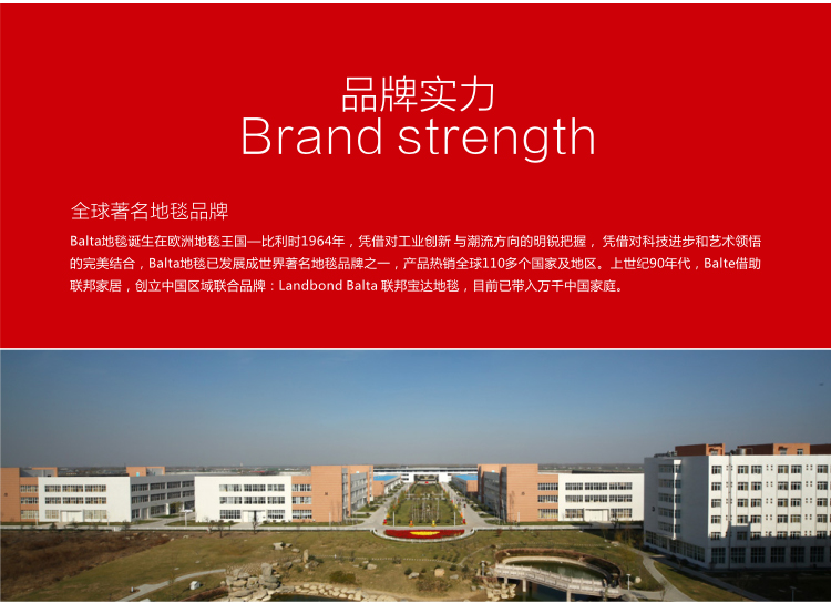 联邦宝达地毯 原装进口儿童游戏毯趣味地垫地毯环保毯 宝宝爬行地毯客厅地垫地毯飞行棋(含棋) 1170*1170MM