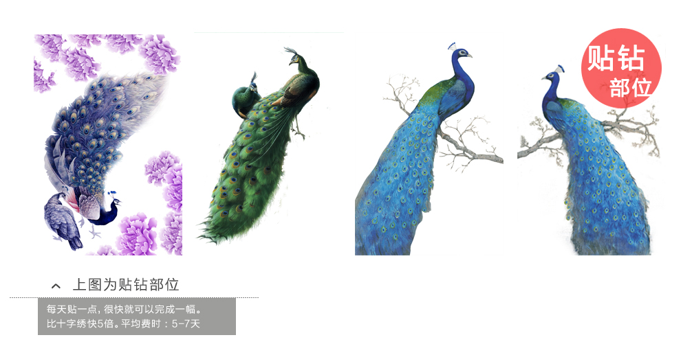 伊人新款5D钻石画 孔雀竖版 牡丹孔雀 钻石十字绣风景动物孔雀钻石画卧室圆钻孔雀钻石绣客厅 5D全彩水钻-牡丹孔雀图 画布尺寸(49x69cm)