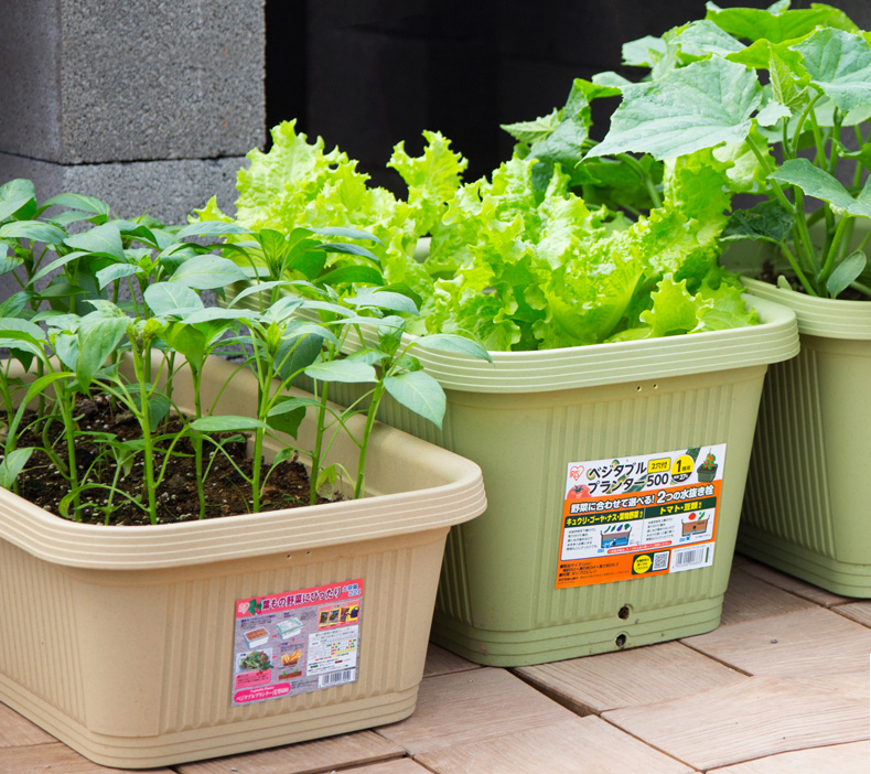 城市枫林 阳台种菜盆长方形特大花盆塑料树脂花盘阳台家庭蔬菜种植箱