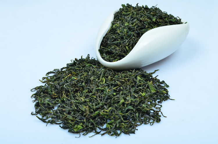 丰秋 正宗日照绿茶茶叶精品特级甘露春茶 500g包邮烘青绿茶2015新茶
