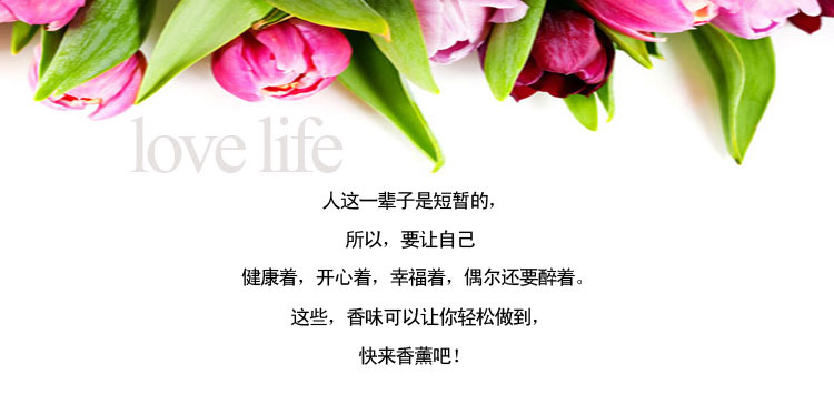 
                                        水溶香薰精油3ml 香薰机加湿器香薰灯专用12种香型 1盒12支                