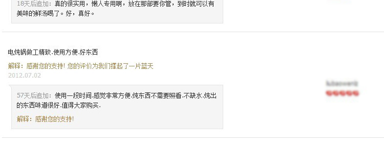 德朗DELAN玻璃慢炖锅电炖锅煲汤煲盅煮粥煮药养生汤煲 MD01