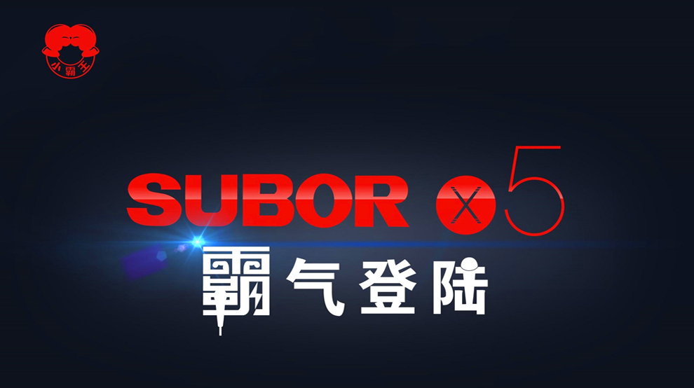 小霸王（SUBOR）X5  移动3G智能手机 双卡双待 黑色
