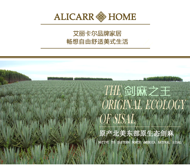 艾丽卡尔（ali.carr）加厚简约美式剑麻地毯客厅卧室茶几榻榻米草编地垫门垫天然AC01 浅黄色 1300MMx1900MM