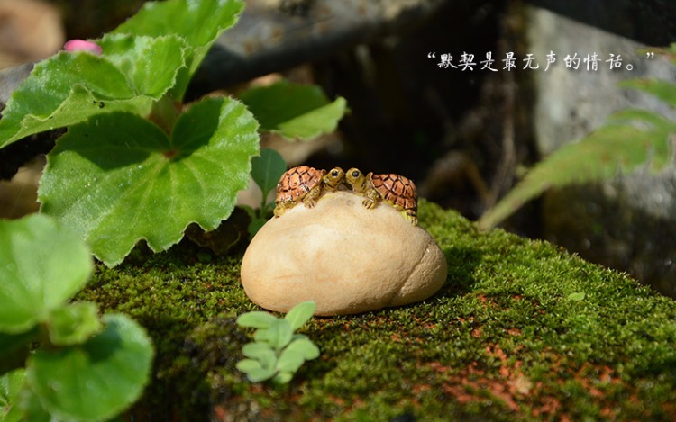 可爱树脂小乌龟创意田园装饰花盆摆件动物仿真家居饰品中秋节礼物 双