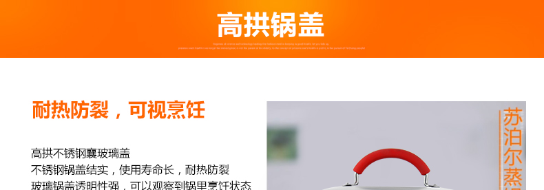 苏泊尔（supor）蒸滋味蒸煮多用双层蒸锅亮彩系列EZ24SS01