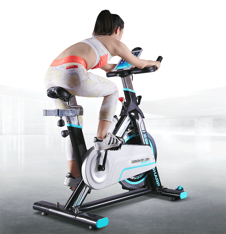 美国harison动感单车家用静音 汉臣室内健身车 减肥运动健身器材