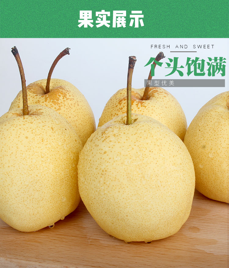 鲜为天 正宗山西同川酥梨 2500g 梨子 新鲜水果_现价-1元