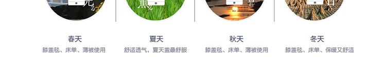 
                                        玉沙 儿童卡通毛毯法兰绒毯子毛巾被春夏珊瑚绒空调毯 毯子 丛林总动员天空蓝(3D双层) 100*150                
