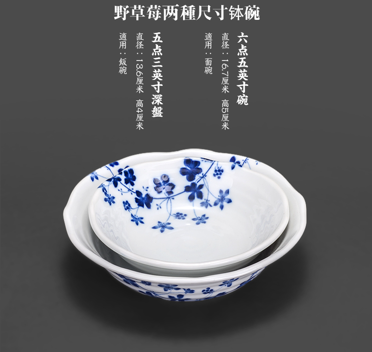 爱悦居 进口盘子饭碗日式餐具套装 日本美浓烧米饭汤碗 酒店家用高档釉下彩和风陶瓷碗盘套装 野草莓16.7cm面钵1只