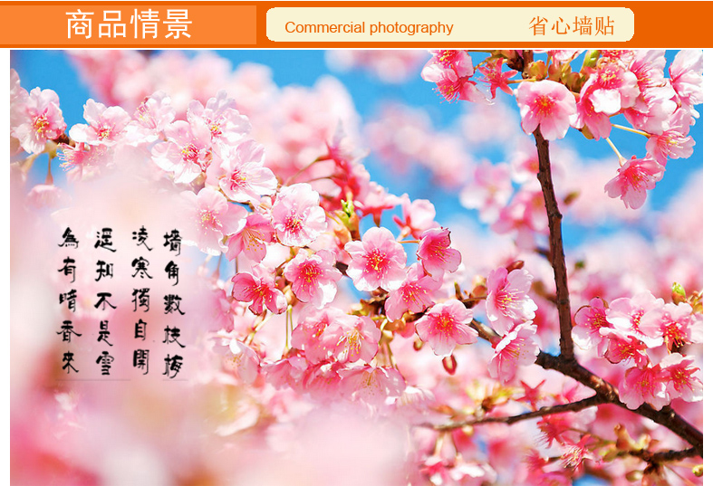 亿贴墙贴画客厅电视背景墙贴纸 卧室书房家居家饰家装 墙饰壁画梅花 梅花