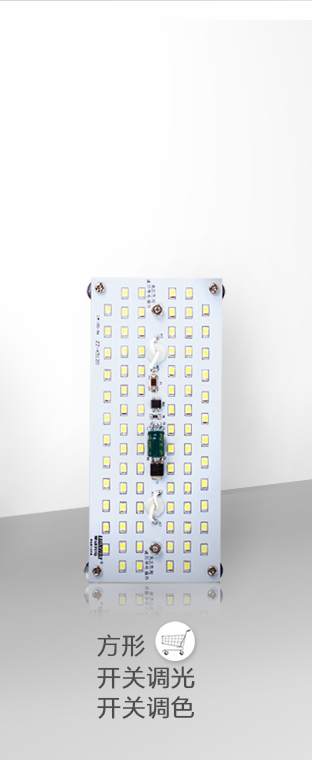 
                                                            莱维（lionway） LED吸顶灯改造灯板led灯板长条灯泡吸顶灯节能灯改造led灯板 10瓦/方形 正白                