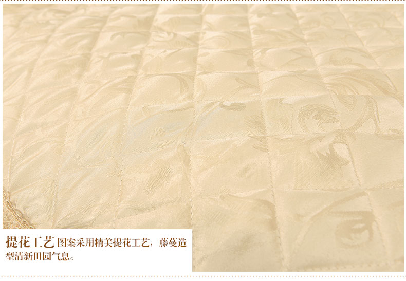 
                                        真琴 欧式沙发垫布艺蕾丝坐垫皮沙发罩套装 菲奥拉 70*60cm沙发垫                
