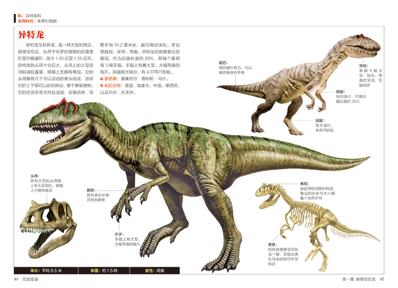 恐龙图鉴(154种恐龙的特征与习性)/图鉴珍藏丛书 恐龙百科畅销书籍