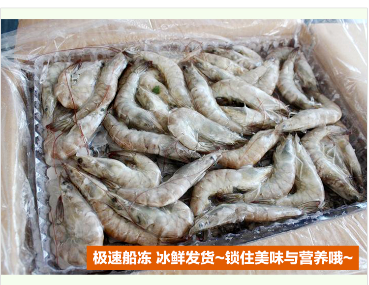 果鲜传奇 青岛鲜虾 新鲜冷冻 海鲜水产鲜活对虾基围虾活虾冷冻虾 2000