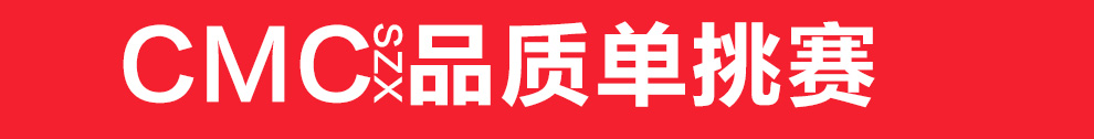CMCSZX  十字绣抱枕汽车靠垫客厅沙发抱枕单个一对自搭枕套尺寸50*50cm JP220今生有约 不含芯