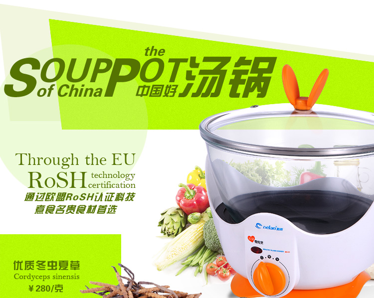 德朗DELAN玻璃慢炖锅电炖锅煲汤煲盅煮粥煮药养生汤煲 MD01