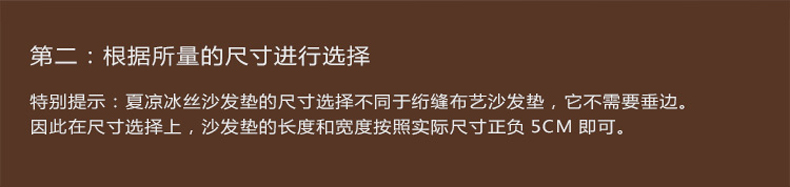 迪菲娜家纺夏天夏季冰丝竹凉席藤席沙发垫坐垫凉垫布艺防滑皮沙发 锦上添花咖 70*150