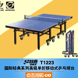 红双喜(dhs)t2828折叠式乒乓球台(附赠网架,乒拍,乒球