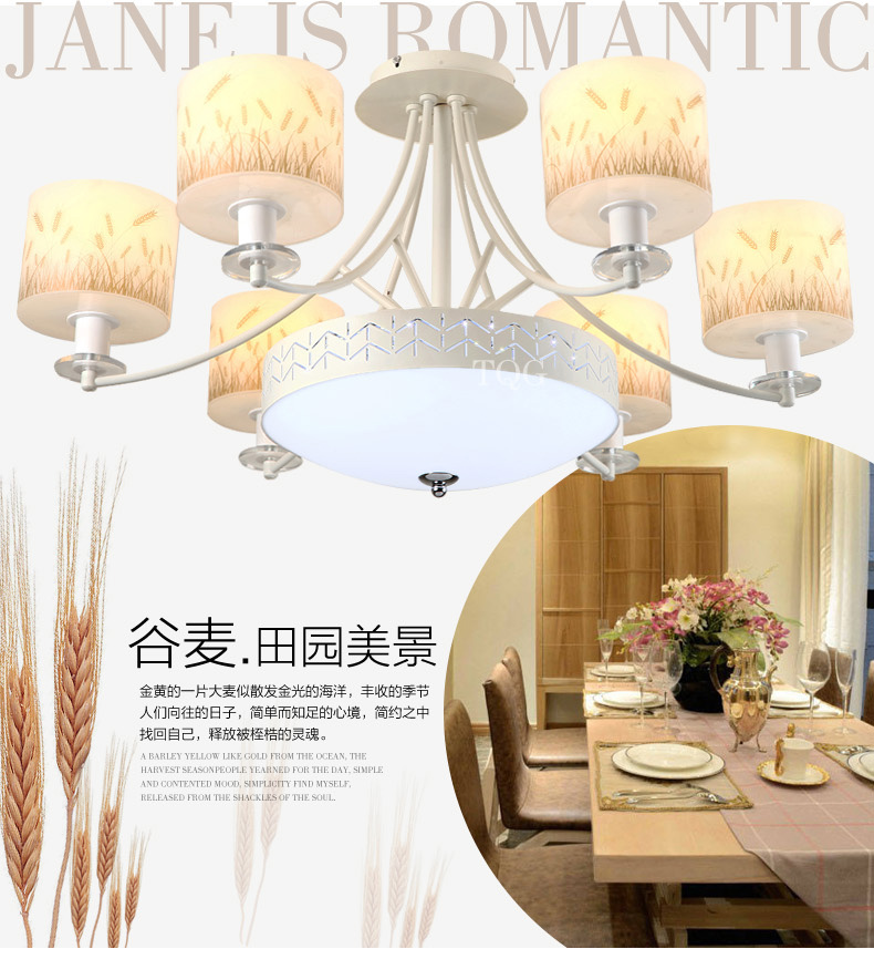 创琪 现代简约客厅吸顶灯餐厅灯卧室灯具书房灯饰田园吊灯 6头 84*45CM配普通E14灯泡