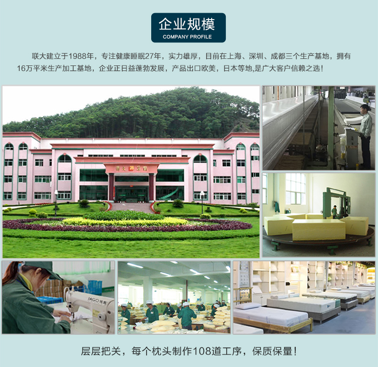 联大 保健枕头磁疗颈椎枕 零压力太空慢回弹记忆枕头 助眠颈椎磁石枕芯 健康枕护颈枕全国包邮